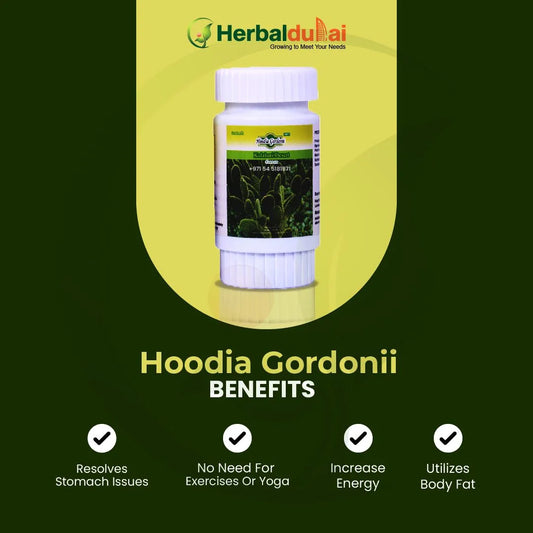 Hoodia Gordonii Benefits