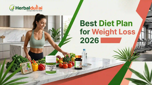 Best Diet Plan for Weight Loss
