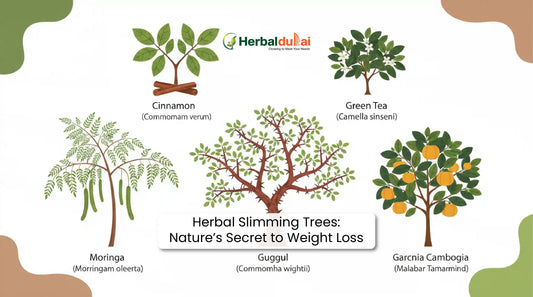 Herbal Slimming Trees