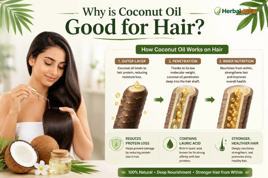 Why is Coconut Oil good for hair