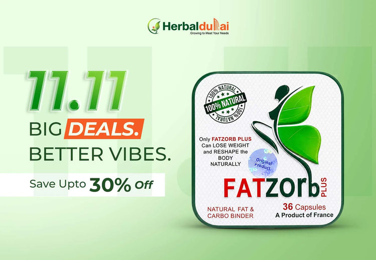 Fatzorb 11.11 Sale Banner 