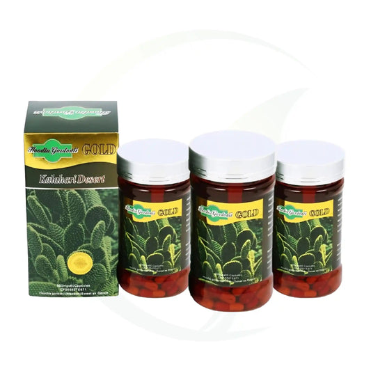 Hoodia Gordonii Gold – Pack of 3 Bundle