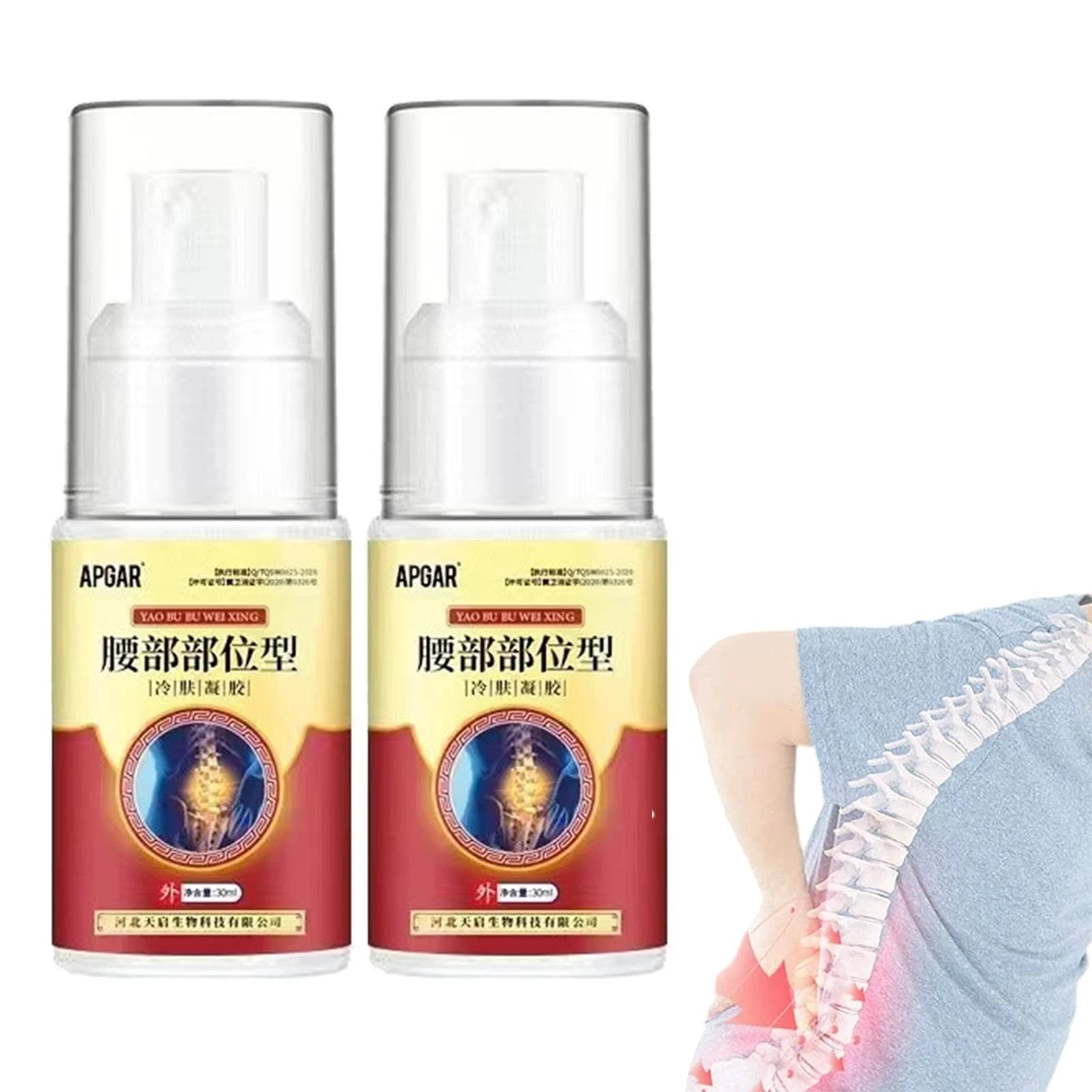 Pack of 2 Apgar Back Pain Relief Spray 